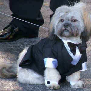 Meet your Posher, Beverly